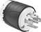 Plug