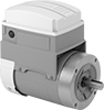 Electric Motors
