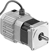 Speed-Control Motors