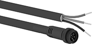 Image of Product. M22 Plug × Wire Leads. Front orientation. Metric Circular Cords. M22 Cords, M22 Plug × Wire Leads.