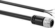 Image of Product. M35 Plug × Wire Leads. Front orientation. Metric Circular Cords. M35 Cords, M35 Plug × Wire Leads.