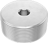 Electrical Enclosure Plugs