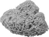 Image of Product. Front orientation. Sponges. Natural Sponges.