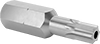 Screwdriver Bits