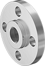 Image of Product. Front. Front orientation. Pipe and Fittings. High-Pressure Stainless Steel Threaded Pipe Flanges, Forged Flanges, Flanged Fitting Connection, Threaded Fitting Connection, Female, Raised Surface.