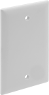 Image of Product. Front orientation. Wall Plates. Blank Wall Plates.