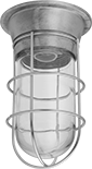 Image of Product. Light with Guard. Front orientation. Ceiling and Wall Lights. Heat-Resistant Lights, CFL, Halogen, Incandescent, LED, Fastener Mount, Aluminum Guard.