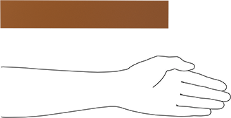Image of Product. Side1 orientation. Contains SizingReference. Ultem PEI Bar, 2" x 12" x 1".