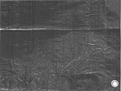 Image of Product. Front orientation. Tarps. Waterproof Tarps.