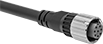 Image of Product. Front orientation. Light Curtain Cords. Light Curtains , Receiver Connectors.