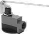 Enclosed Washdown Snap-Acting Switches