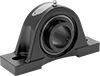 Mounted Bearings