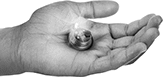 Image of ProductInUse. Front orientation. Enclosure Lights. Miniature Adhesive-Backed Lights.