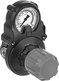 Image of Product. With Knob. Front orientation. Pressure-Regulating Valves. Pressure-Regulating Valves for Fuel Gases, Female Inlet, Brass Body, Outlet-Pressure-Adjustment Knob.