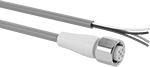 Image of Product. Socket × Wire Leads. Front orientation. Metric Circular Cords. Tubular Machine Lights, M12 Connection, Wire Lead Connection.