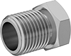 Hose Fitting Nuts