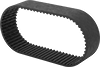 Timing Belts