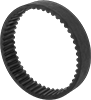 Timing Belts