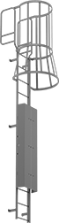 Image of Product. Front orientation. Ladder Security Covers. Wall-Mount Ladders with Welded-On Cage.