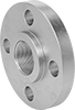 High-Pressure Stainless Steel Threaded Pipe Flanges