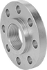 High-Pressure Stainless Steel Threaded Pipe Flanges