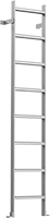 Image of Product. Front orientation. Ladders. Wall-Mount Ladders.