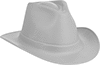 Hard Hats