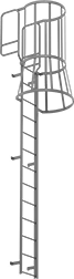 Image of Product. Front orientation. Ladders. Wall-Mount Ladders with Welded-On Cage.