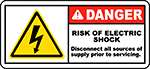 Image of Product. Front orientation. Labels. Illustrated Electrical Hazard Labels , Danger—Risk of Electric Shock Disconnect All Sources of Supply Prior to Servicing.