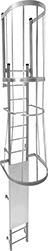 Image of Product. Ladder with Security Cover (Sold Separately). Front orientation. Ladders. Wall-Mount Ladders with Cage.