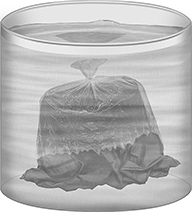 Image of ProductInUse. Front orientation. Water-Soluble Bags.