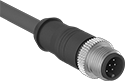 Image of Product. Front orientation. Ethernet Cords. Ethernet Cords with M12 Connectors, Straight End, Plug, A Code.