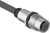 Electrical Cords
