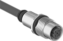 Image of Product. Front orientation. Ethernet Cords. Ethernet Cords with M12 Connectors, , Straight End, D Code.