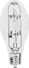 Light Bulbs