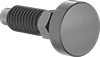 Spring Plungers