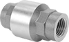 Heavy Duty Threaded Check Valves for Drinking Water