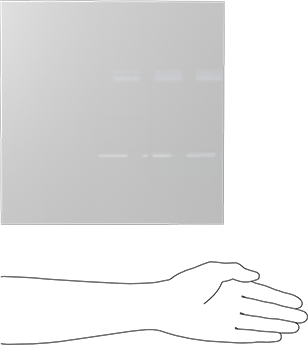 Image of Product. Side1 orientation. Contains SizingReference. Chemical-Resistant Slippery Teflon® PTFE Sheet, White, 3/8" Thick, 12" Wide, 12" Long.