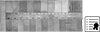 Surface-Finish Scales with Certificate of Calibration