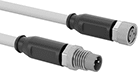 Image of Product. Socket × Plug. Front orientation. Metric Circular Cords. Strip Machine Lights, M8 Connection.