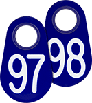 Image of Product. Blue. Front orientation. Blue. Easy-Hang Sequentially Numbered Plastic Tags.