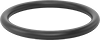 Ultra-Chemical-Resistant FFKM 4079 O-Rings