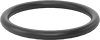 Ultra-Chemical-Resistant FFKM 4079 O-Rings