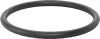 Ultra-Chemical-Resistant FFKM 4079 O-Rings