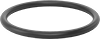Ultra-Chemical-Resistant FFKM 4079 O-Rings