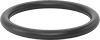 Ultra-Chemical-Resistant FFKM 4079 O-Rings