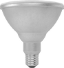 Screw-In-Base Floodlight and Spotlight Bulbs