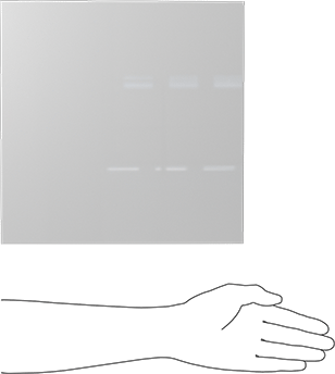 Image of Product. Side1 orientation. Contains SizingReference. Slippery White UHMW Polyethylene Sheet, 12" x 12" x 1/2".