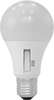 Light Bulbs