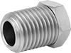Pipe Bushings